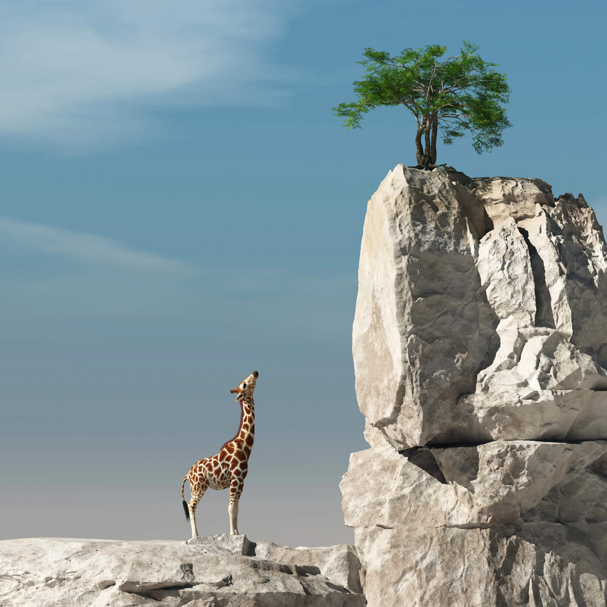 bilan de compétences Benedicte Sidoit